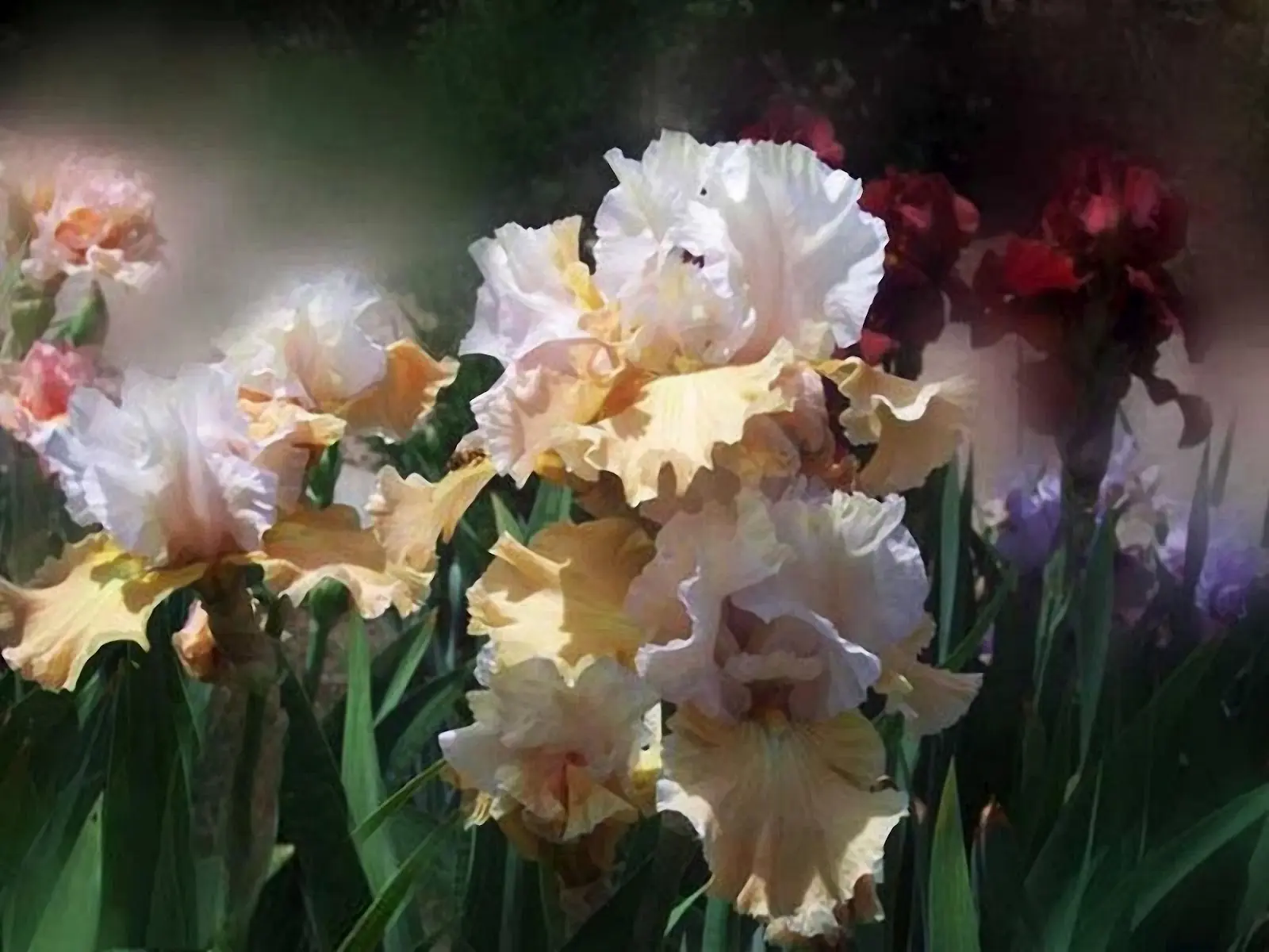 Exquisitas flores de Carol Cavalaris