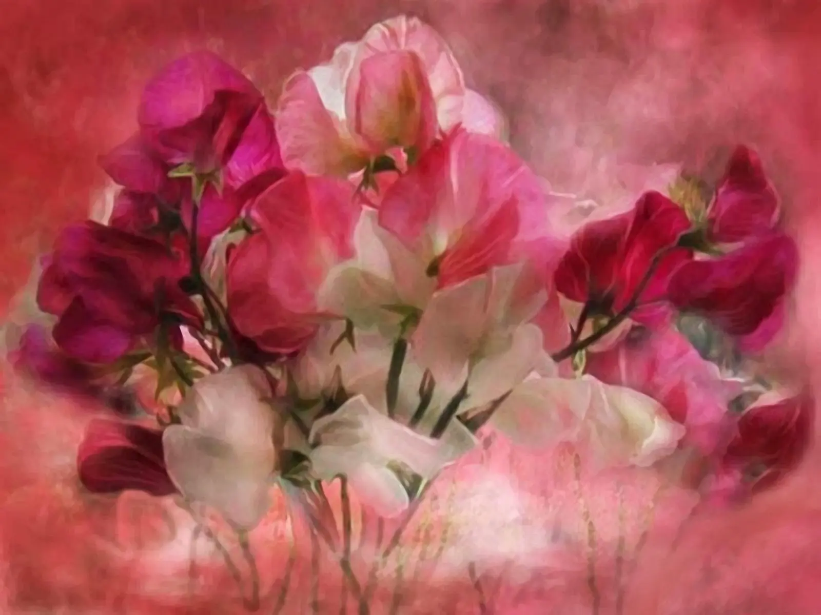 Exquisitas flores de Carol Cavalaris