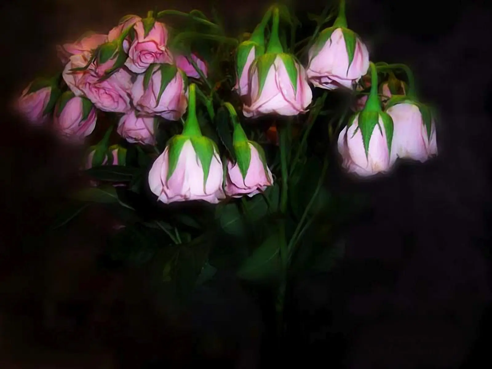 Exquisitas flores de Carol Cavalaris
