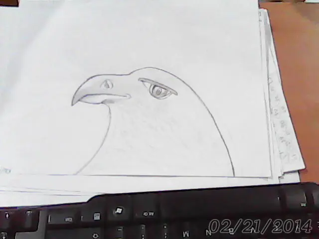 dib