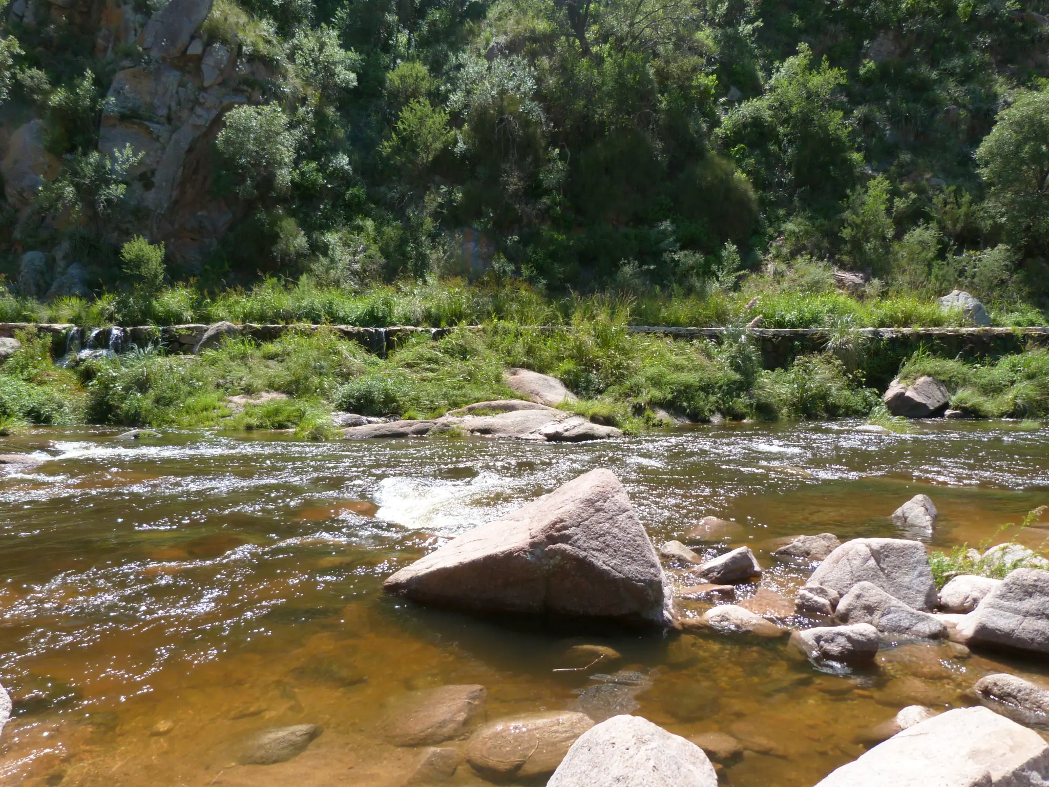Pizza a la parrilla a leña por Orgullo