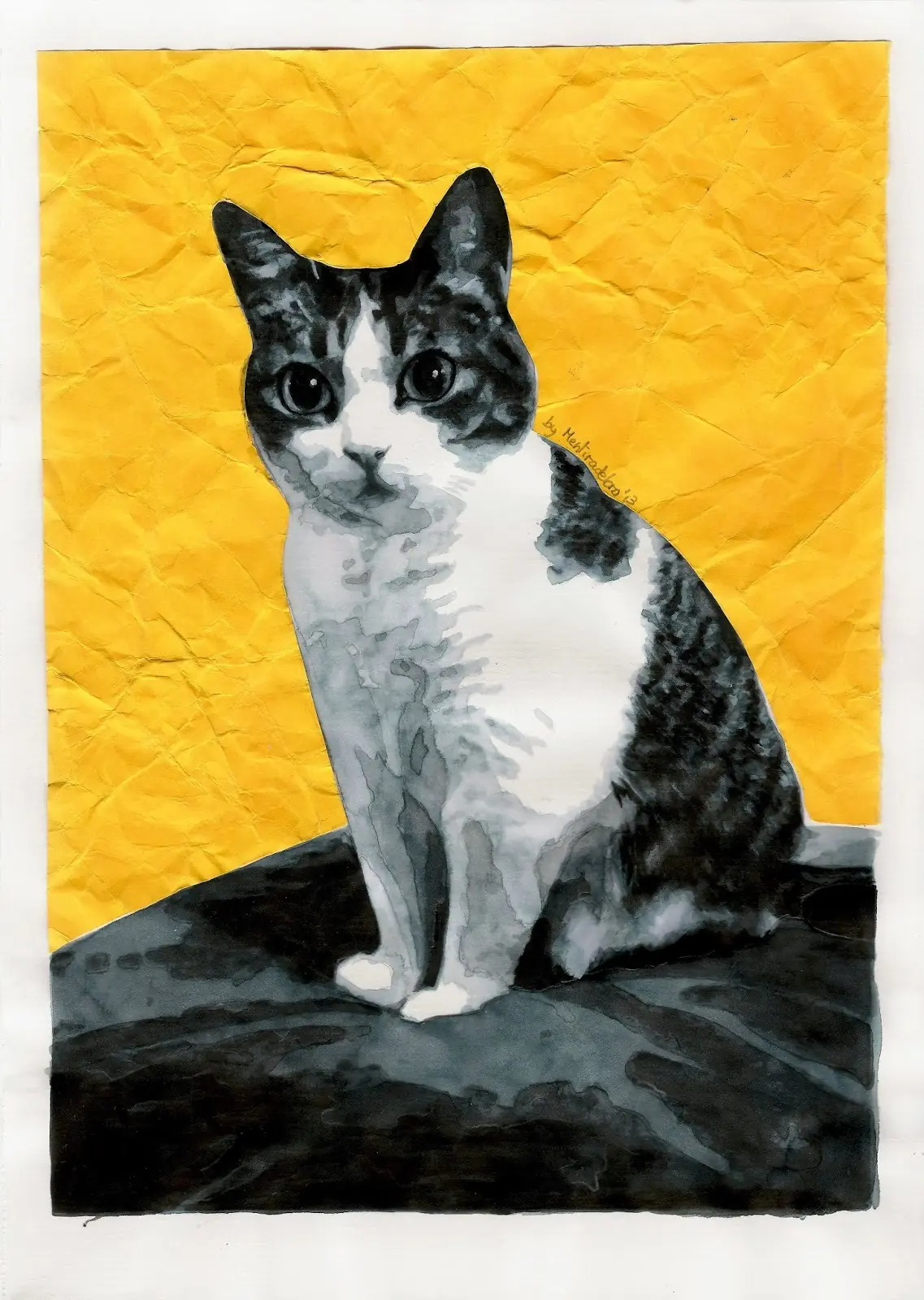 Retrato de gato en acuarela/ collage (propio)