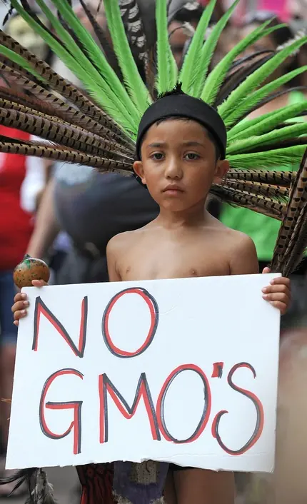 monsanto