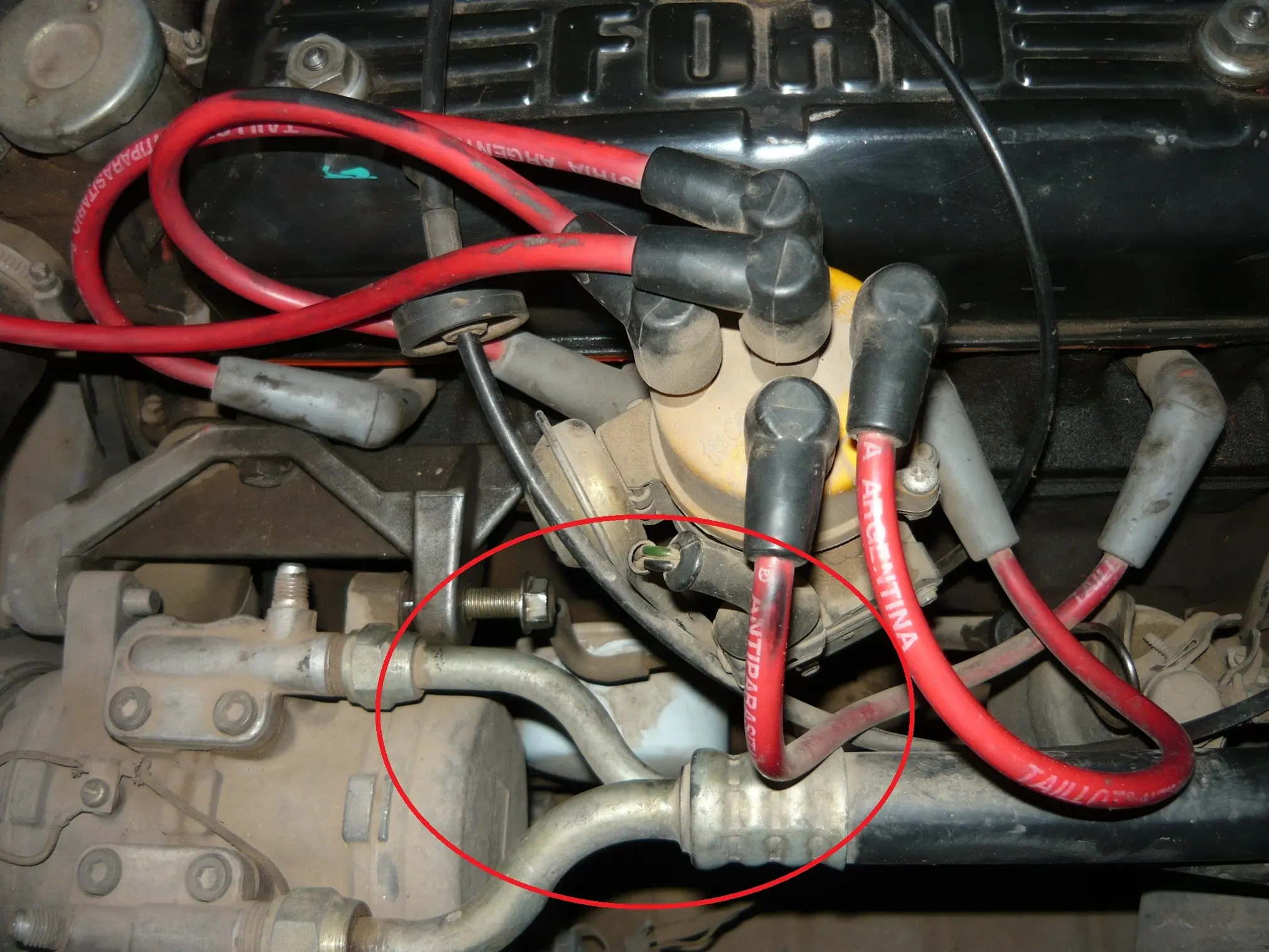 Service Escort Motor CHT