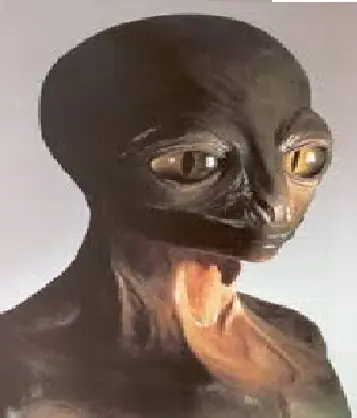Un Ministro tuvo que aclarar que no es un reptiliano