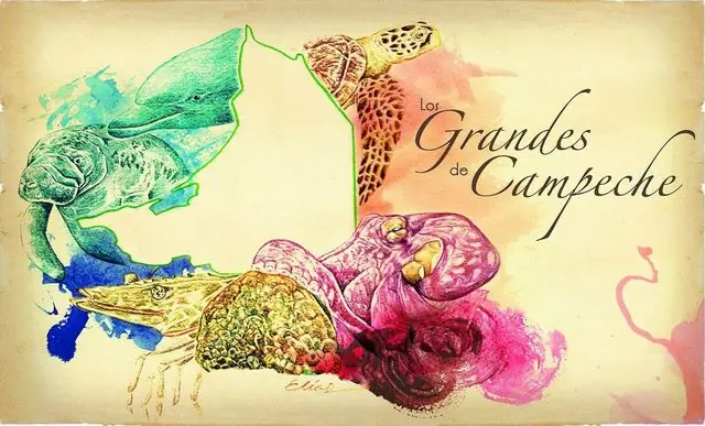 Gastronomia Mexico No.3 " Estado de Campeche "