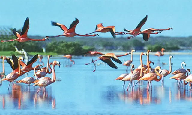 paraiso