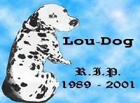 A que no lo sabias...!