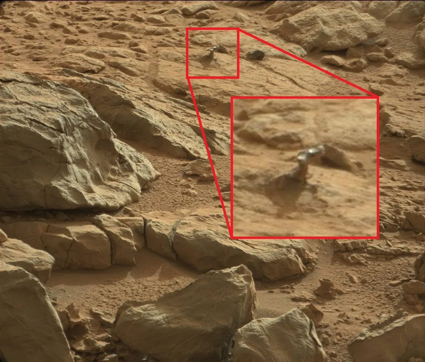 pareidolia