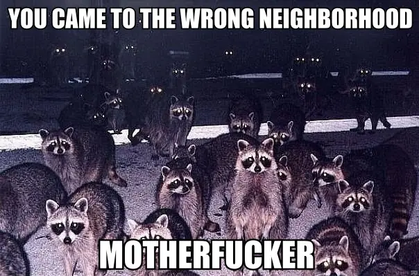 you came to the wrong neighborho
