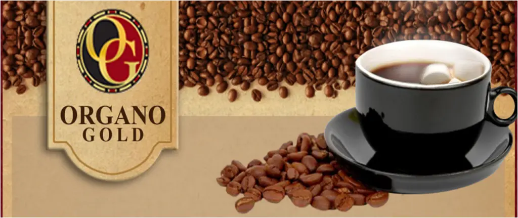 ganoderma
