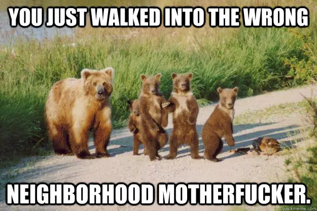 [Humor] You Came To The Wrong Neighborhood.