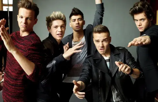 ¿Cuál es el One Direction que gana más dinero?
