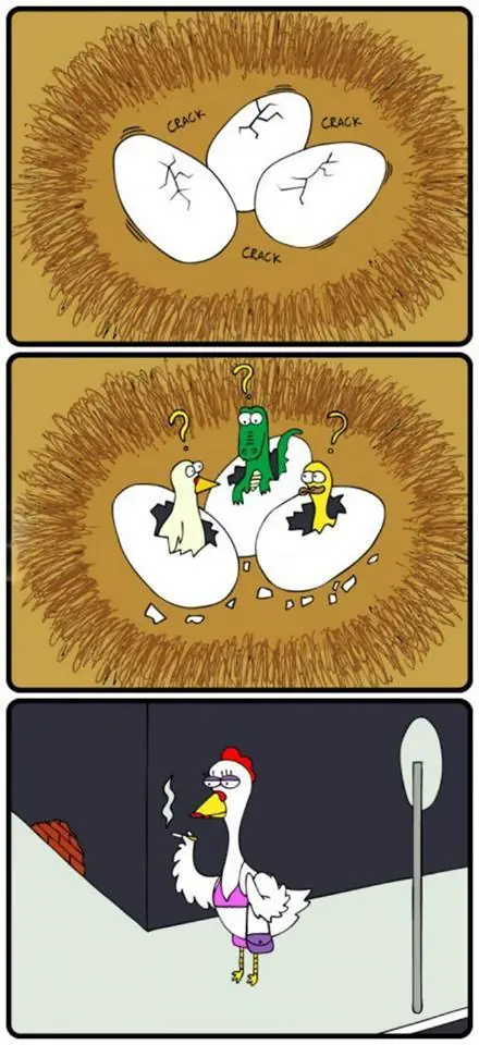 100 imagenes que de seguro te gusten parte 1