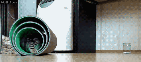[Recolecta] GIF Comicos