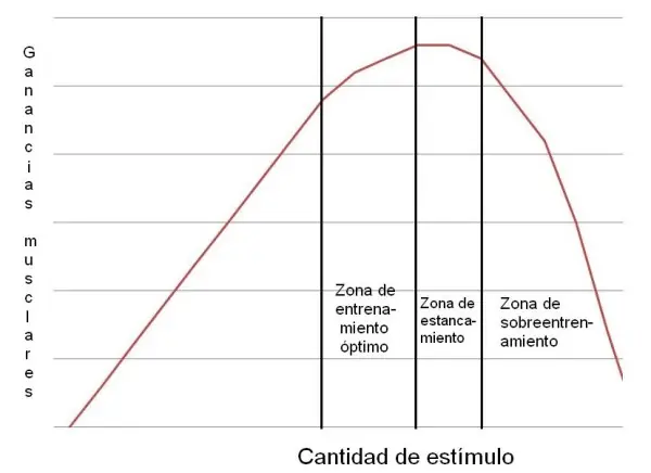 musculos