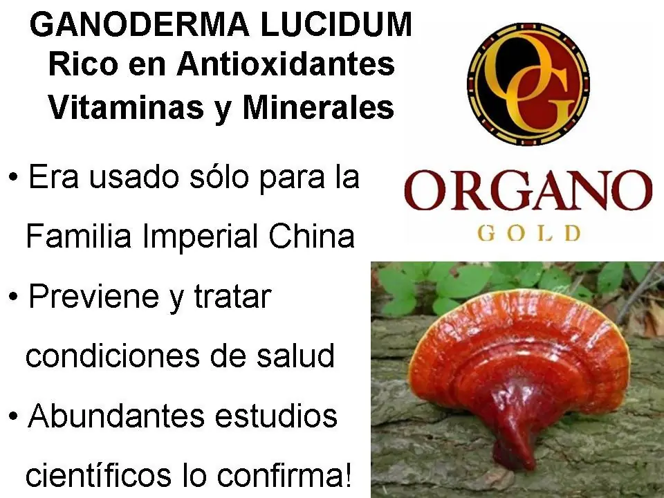 organo
