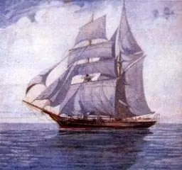 barcos