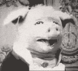 gifs graciosos