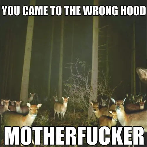 [Humor] You Came To The Wrong Neighborhood.