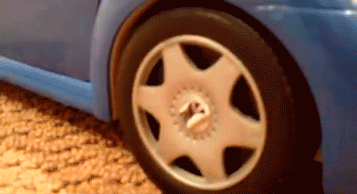 beetle 2008