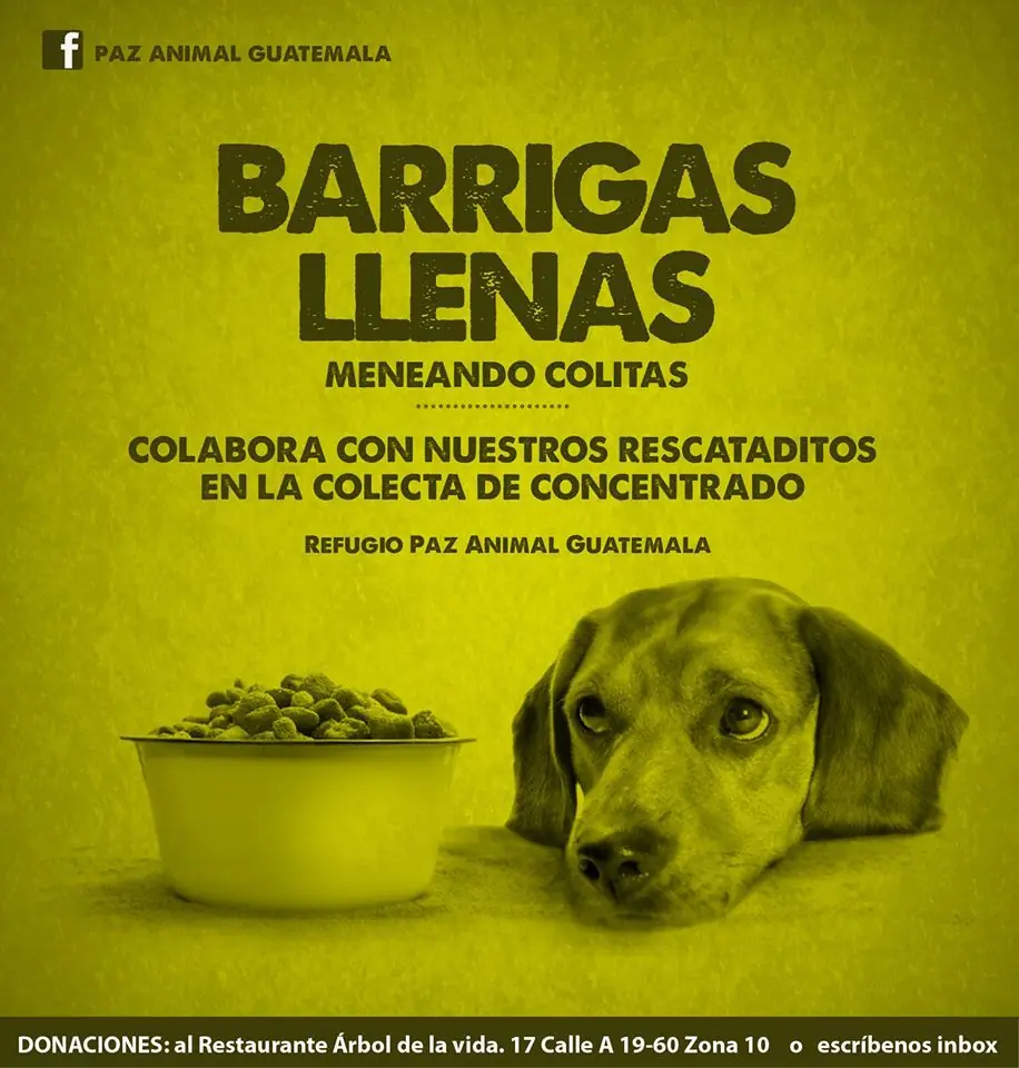 Colaboración para los animales