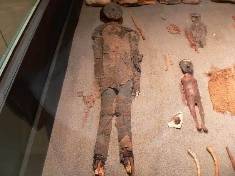 Chinchorro: 10.000 años mirando el Futuro