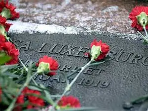 Rosa Luxemburgo : revolucionaria