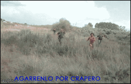 Lince, comenta como un campeón