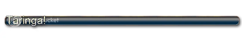 Crea tu propio Megaupload