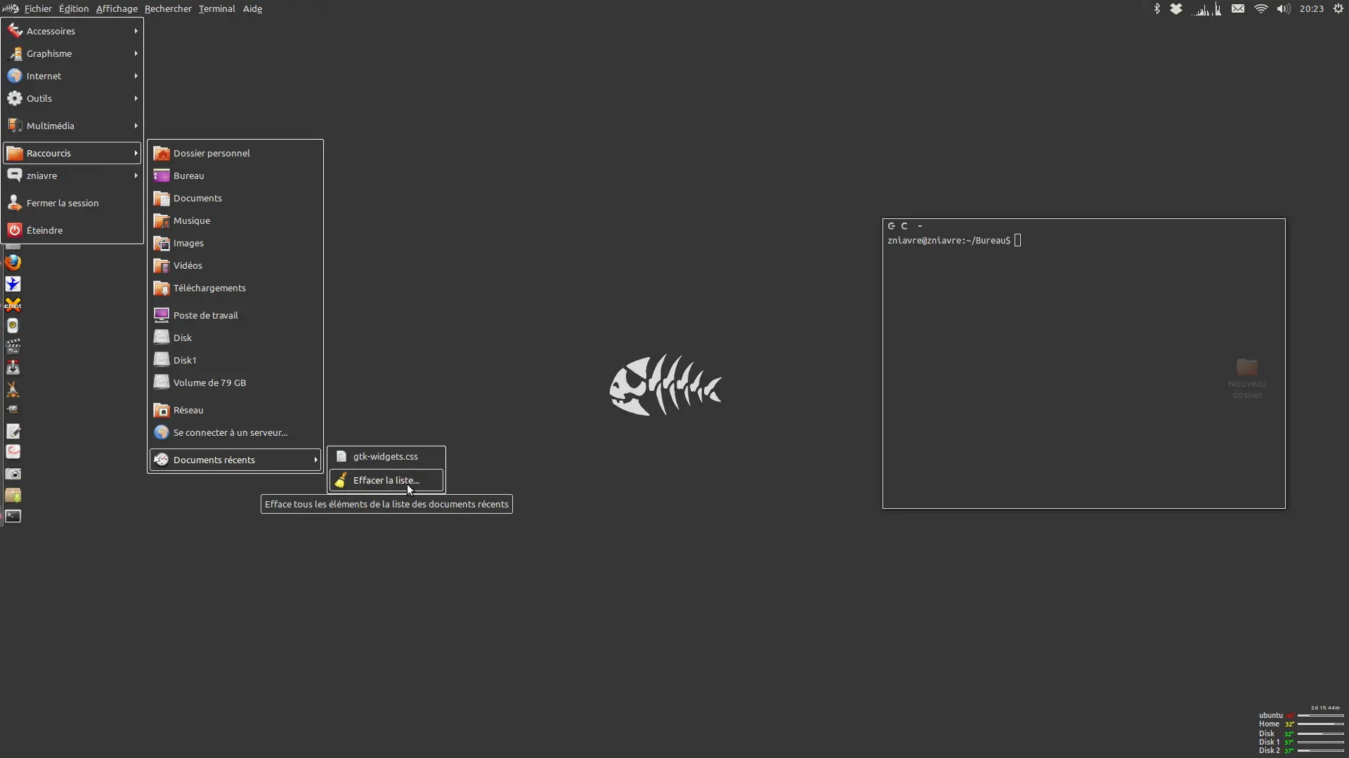 humanoid gtk-3