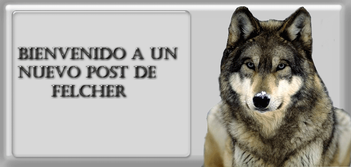 (gánate una manaos) Adivina cuanto le dieron al pizzero