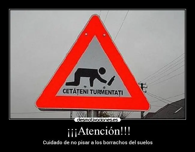 animales chistosos