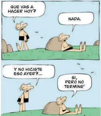 Animales y gente chistosos