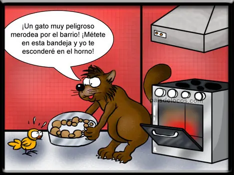 animales chistosos