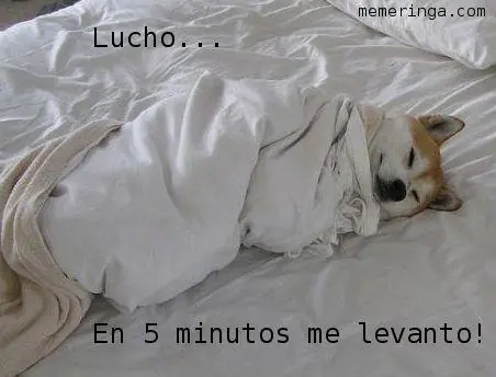 humor