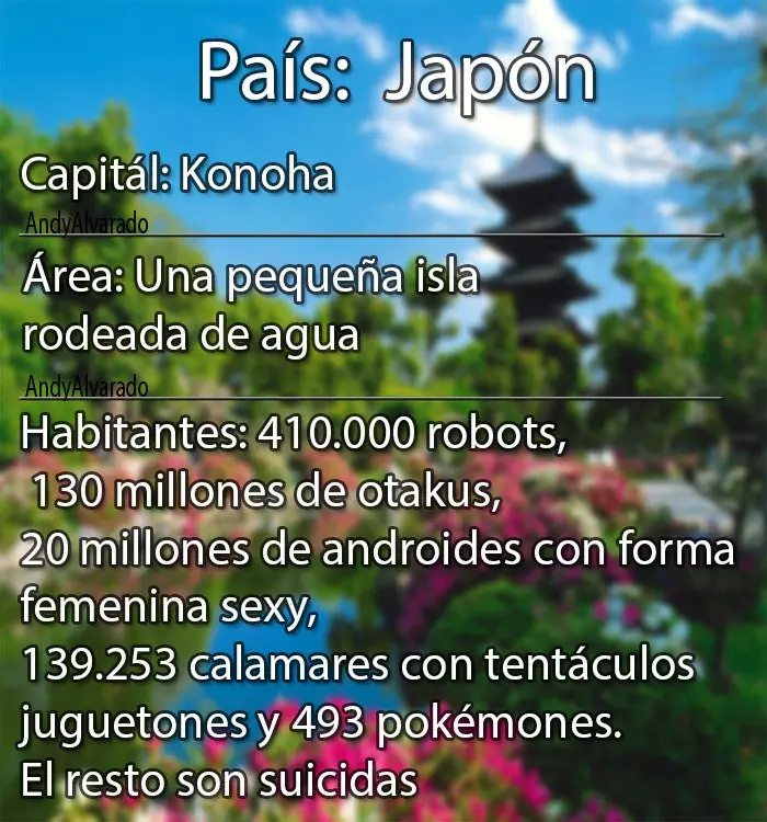 ¡Todo es mejor en Japón!