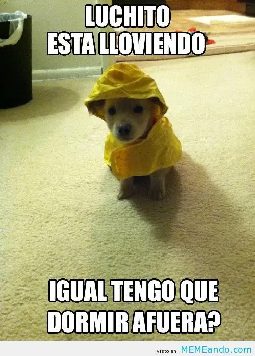 humor