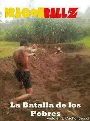 taringa