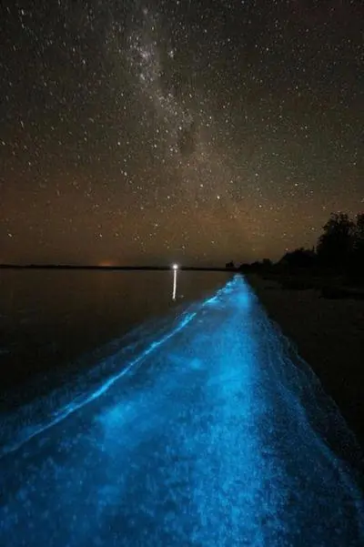 lago