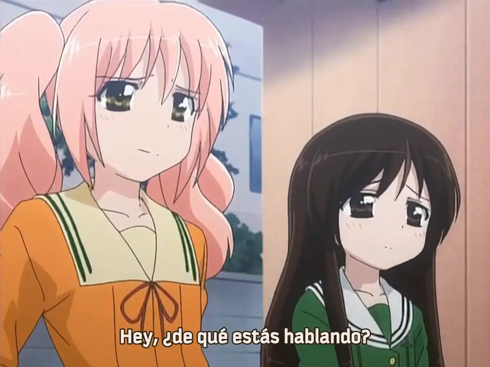 encodeo