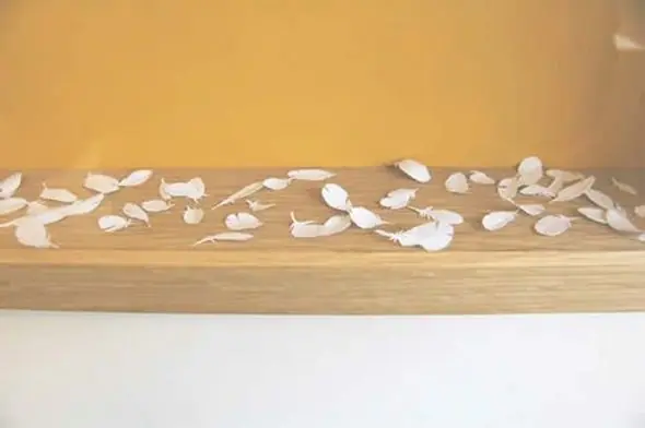 paper
