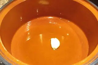 Pollo
