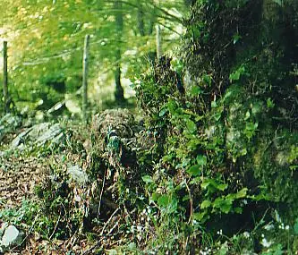 Rifle