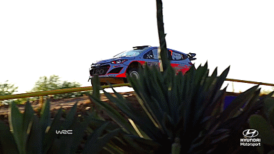 Rally