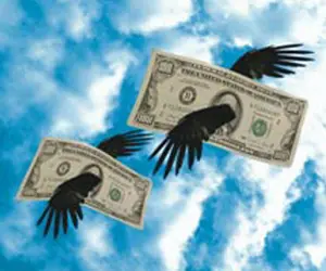 dolares