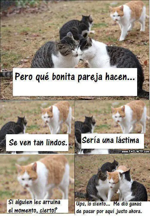 imagenes