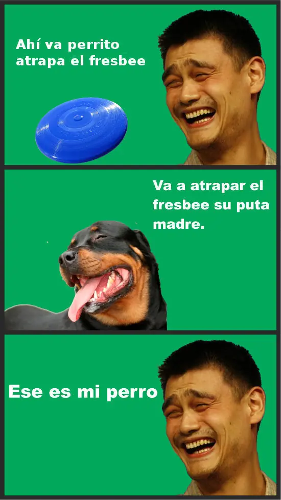 meme