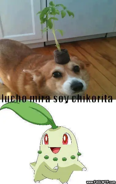 humor