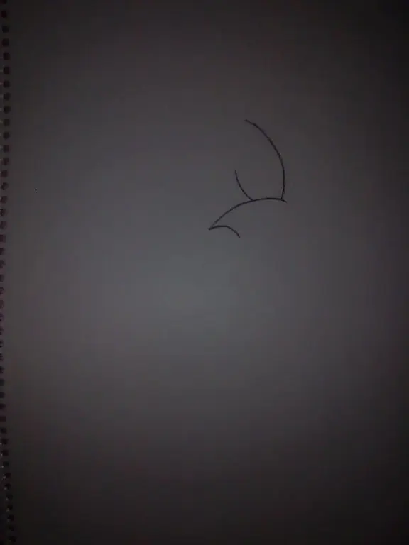 Dibujo
